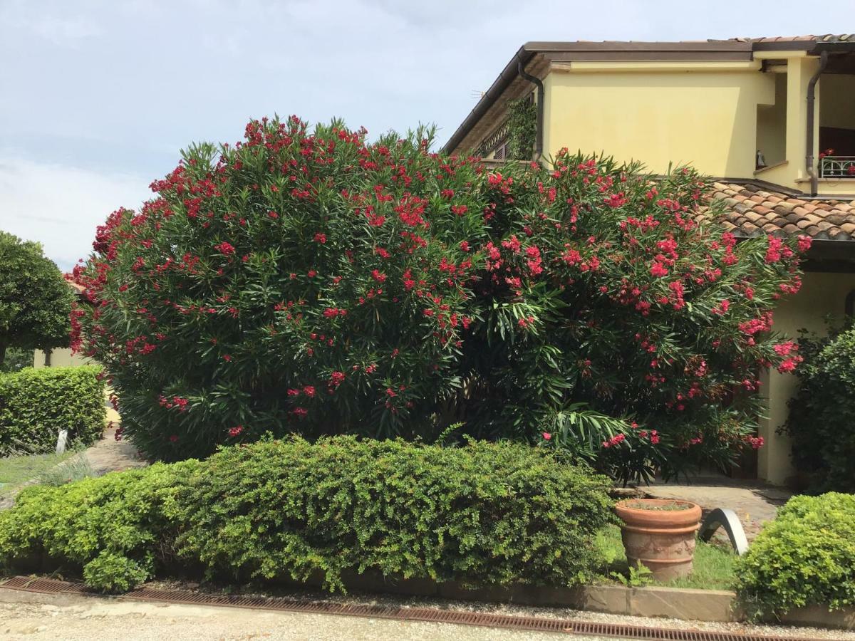 Castel di Mezzo Residence Baia Vallugola מראה חיצוני תמונה